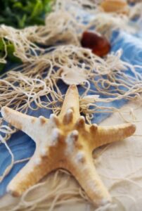 dekoracija Kapetanska večera MS Amore